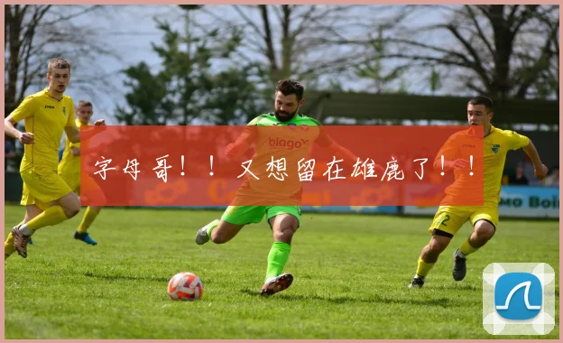 字母哥!!又想留在雄鹿了!!