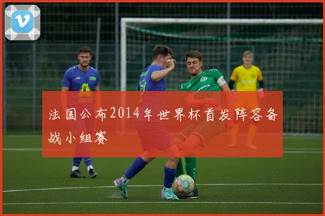 法国公布2014年世界杯首发阵容备战小组赛