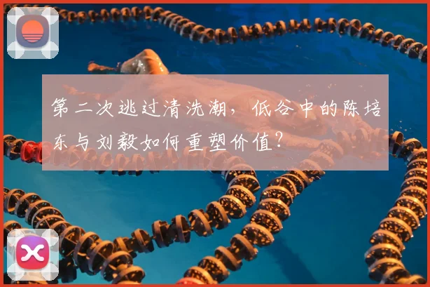 第二次逃过清洗潮，低谷中的陈培东与刘毅如何重塑价值？