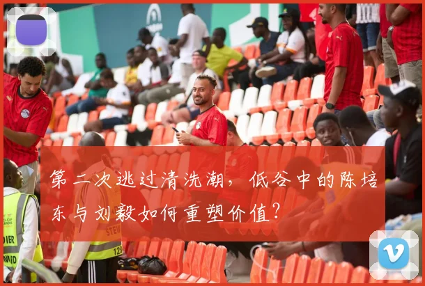 第二次逃过清洗潮，低谷中的陈培东与刘毅如何重塑价值？