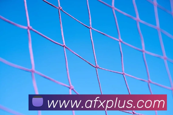 爱体育电子官网登录品牌故事