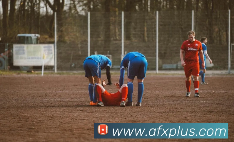 爱体育电子官网登录服务体系